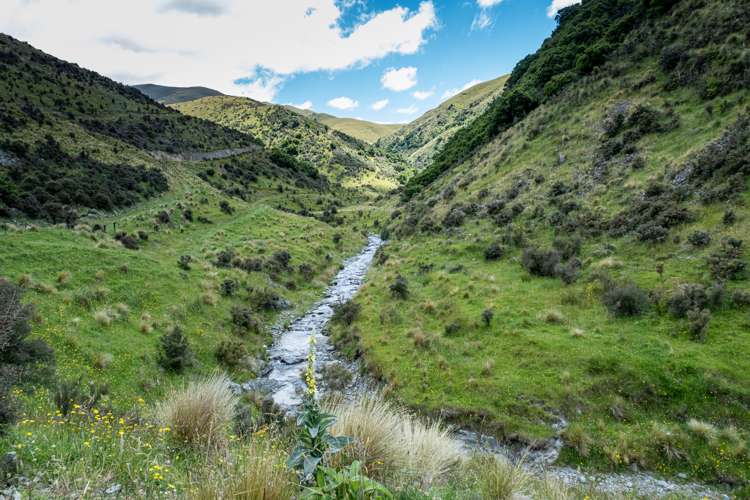 330 Wilfred Road Albury_11