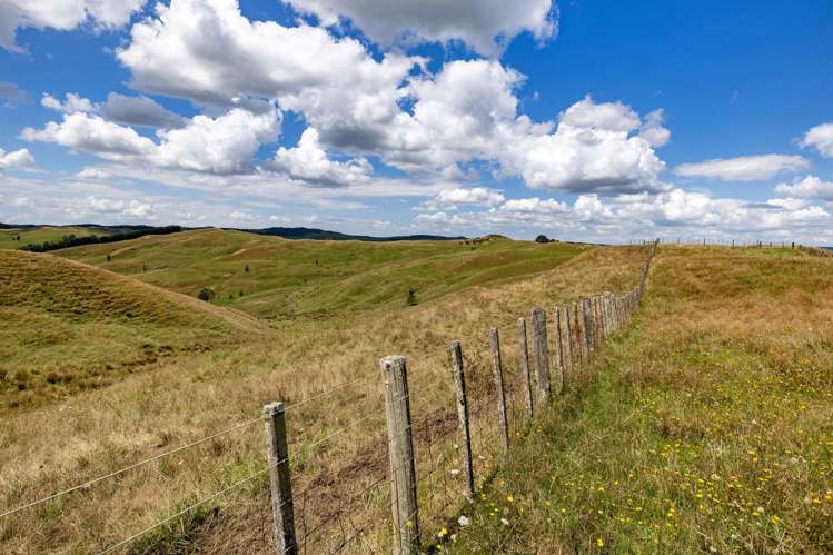 826 Ruakiwi Road Te Akau_25