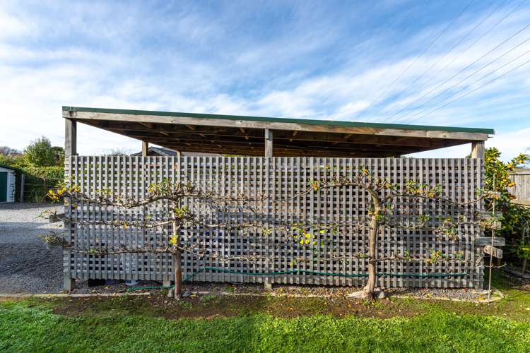 23 Hathaway Street Spring Creek_19