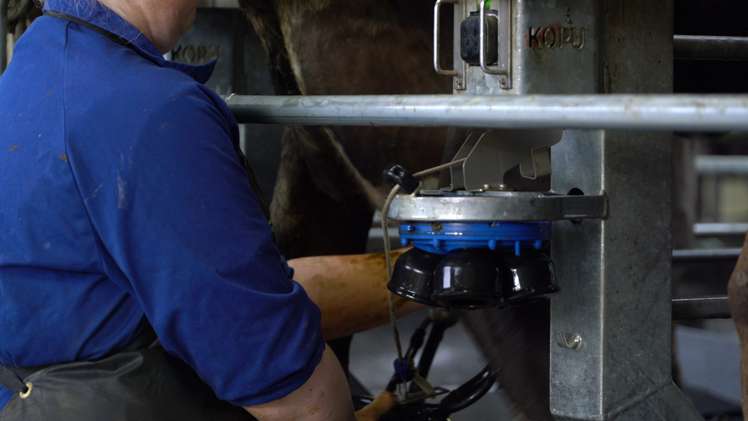 590e Koheroa Road Mangatawhiri_7