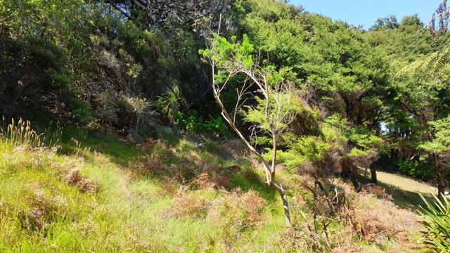 38a Blackwell Drive Great Barrier Island_4