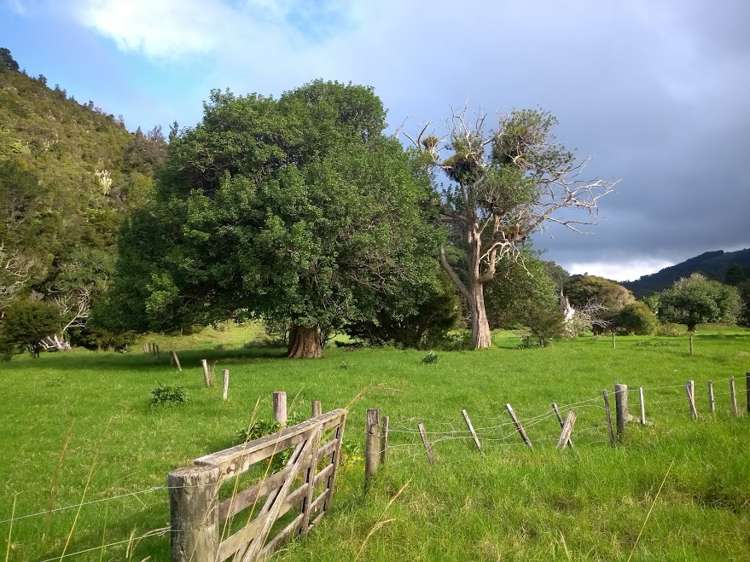 1708 Russell Road Hukerenui and Surrounds_3