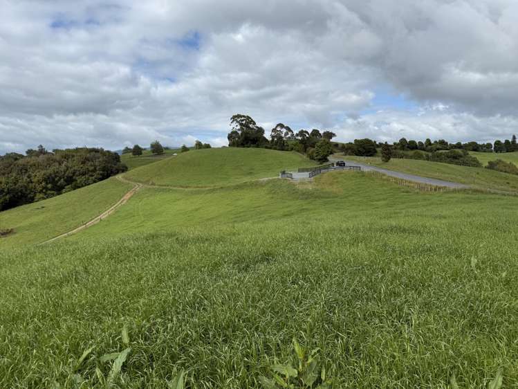 Taotaoroa Road Karapiro_29
