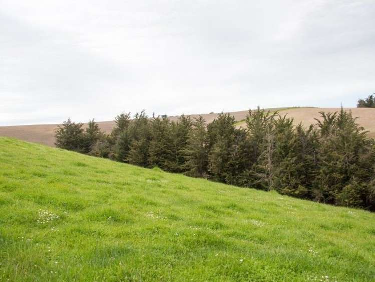 221 Driscoll Road Levels Valley_26