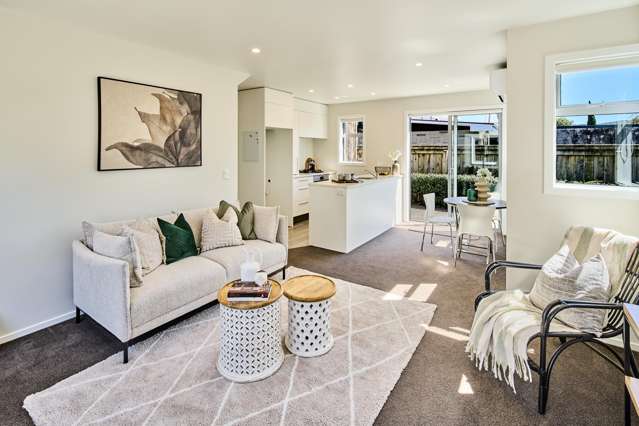 3 Rose Way Hutt Central_1