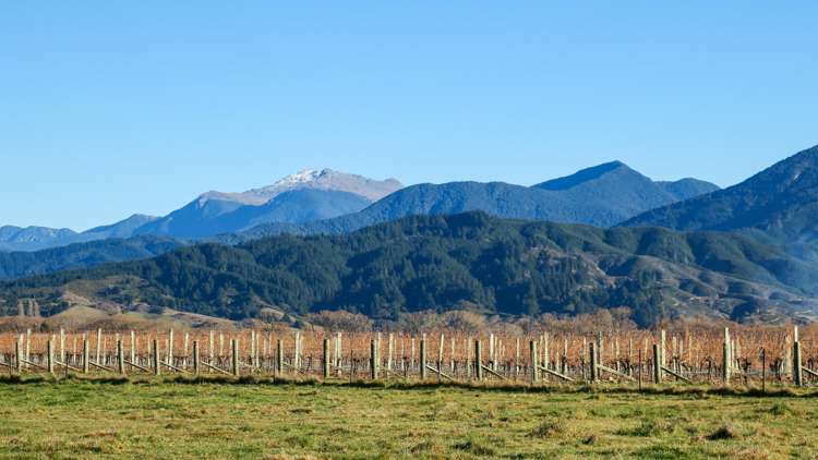 1972 State Highway 63 Wairau Valley_15