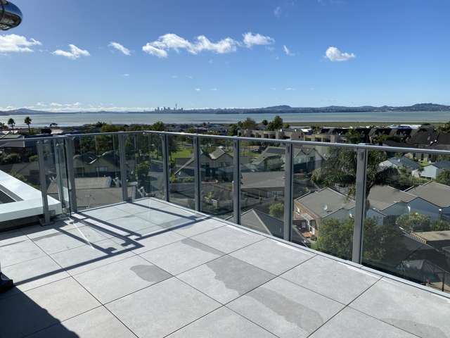 5f/84 Gunner Drive Te Atatu Peninsula_2