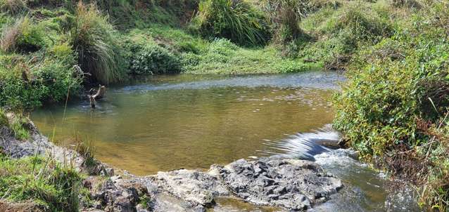 1814 Waingaro Road Waingaro_2