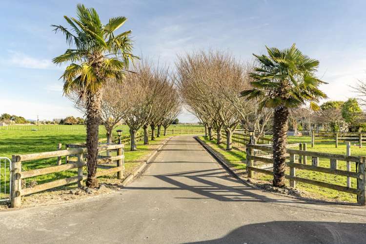 11 Mckenzie Settlement Road Kairanga_7