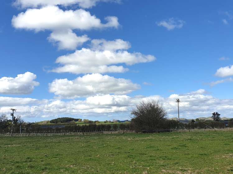 1a Elm Place Waipukurau_5