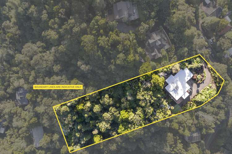 43 Otitori Bay Road Titirangi_31