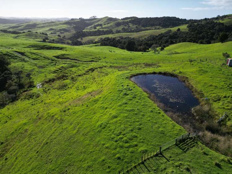 583 Lusk Road Ruawai_20