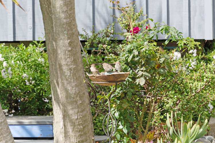 17 Dale Road Raumati South_22