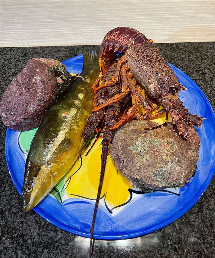 1466 Port Underwood Road Port Underwood_52