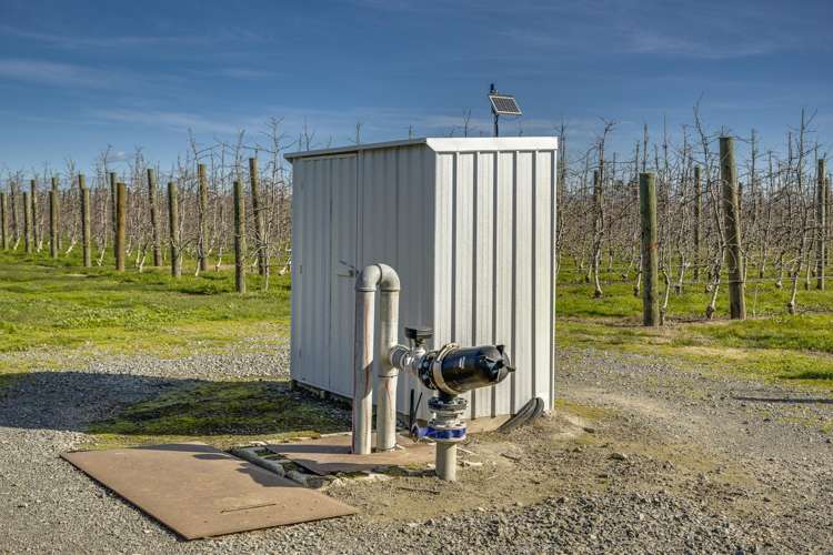 Kiwi Crunch Orchard Portfolio Twyford_13