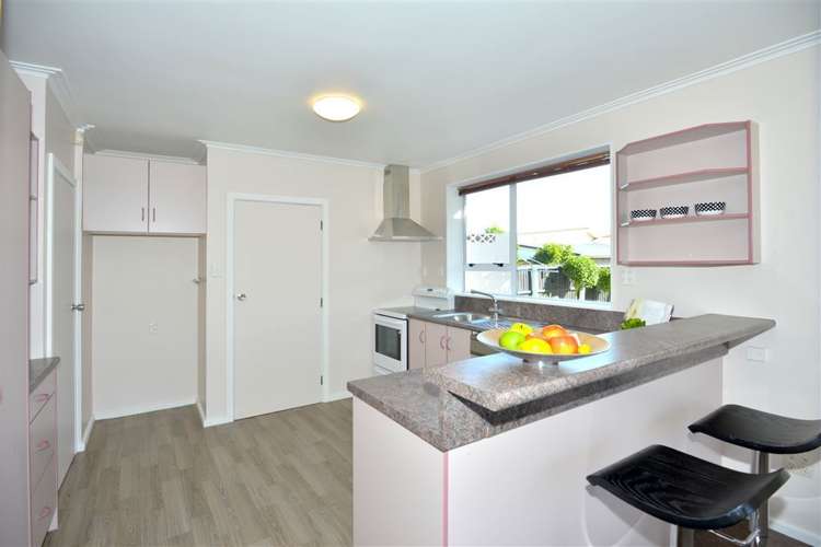 19 Cheyenne Street Sockburn_2