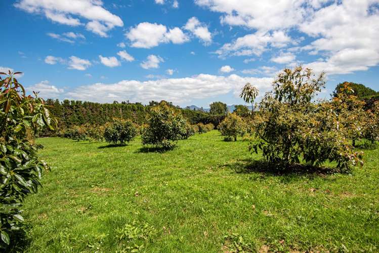 1700 State Highway 14 Maungatapere_23