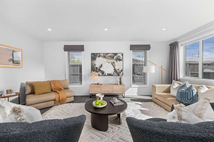 81B Havelock Street Renwick_1