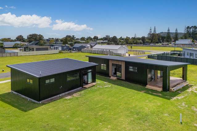 Excitingly New. What a Package!