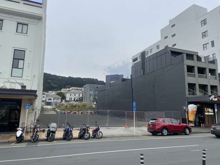 12 Kent Terrace Mt Victoria_8