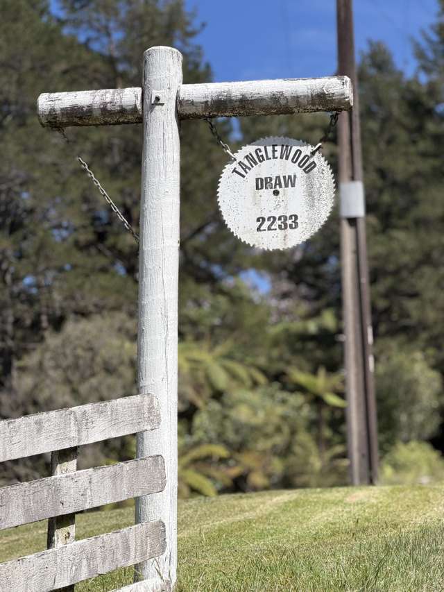 2233 State Highway 29 Lower Kaimai_2