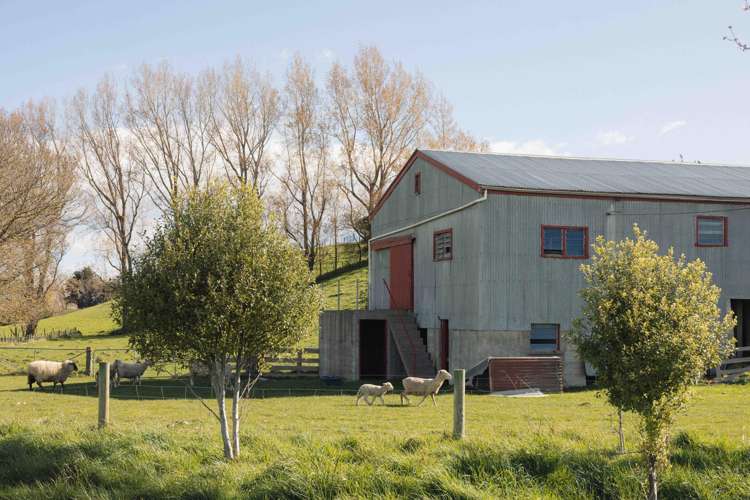 Rowallan Road Darfield_26