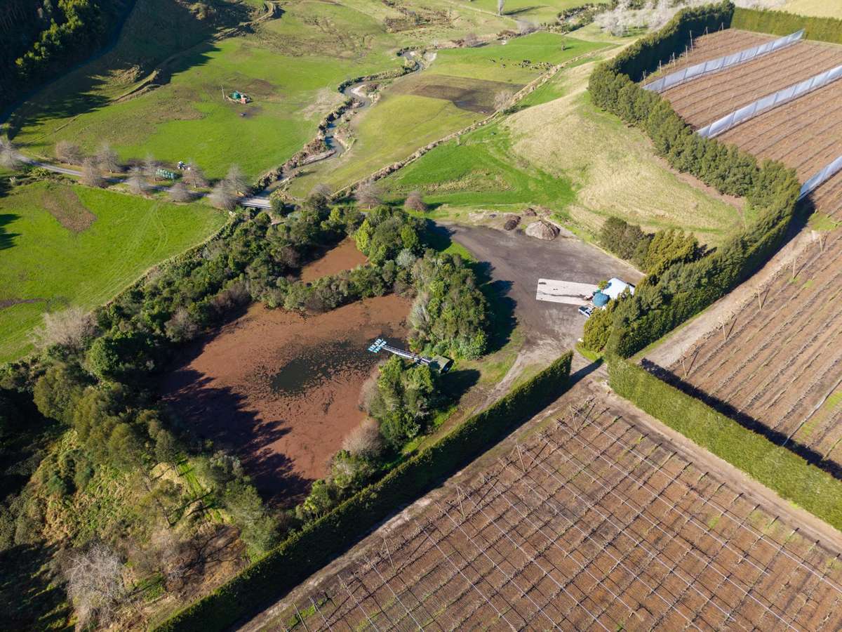 80 Roydon Downs Road_5