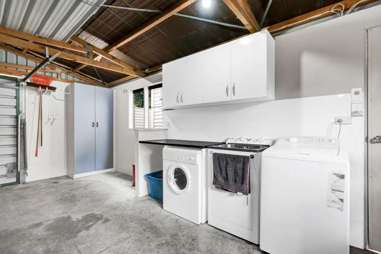 117 Carrington Street Lower Vogeltown_20