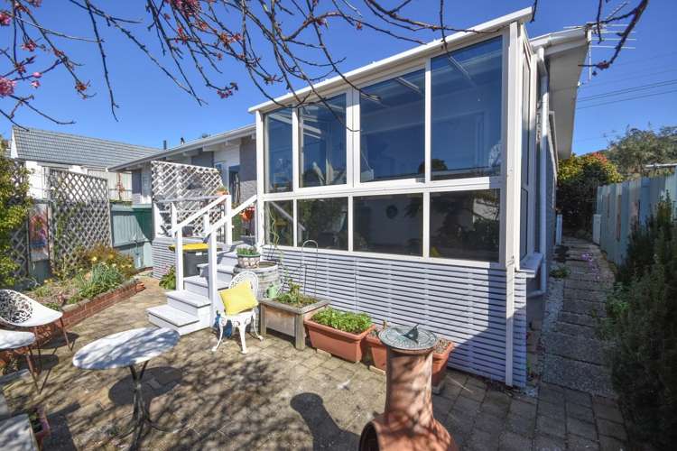 205b Forbury Road Saint Clair_14