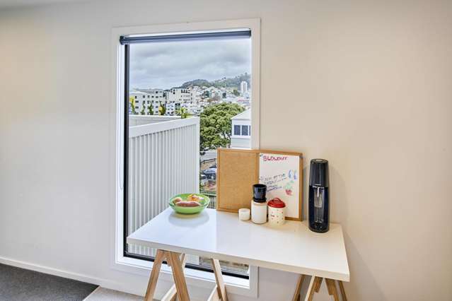 289a The Terrace Te Aro_4