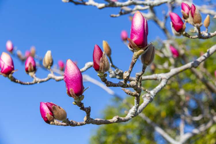 70 Park Road Carterton_16