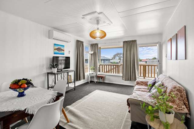 205 Omata Road Spotswood_4