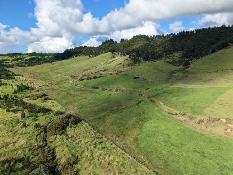 Lot 1-3 36 Te Moho Road Taipa_30