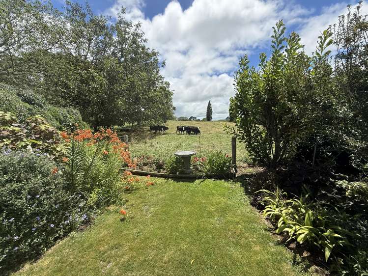 15 Scott Road Putaruru_5