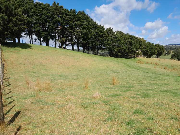 596 Waimate North Road Kerikeri_9