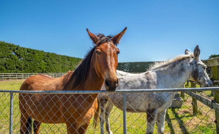 631 Burnham School Road Burnham_60