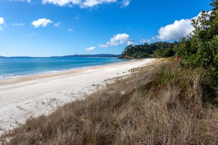 344 Tangiora Avenue Whangapoua_15