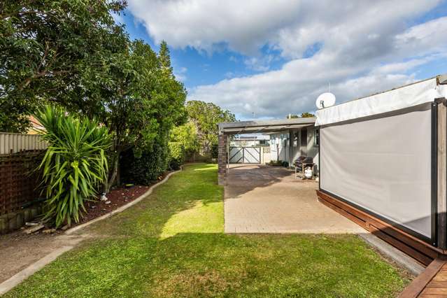 42 Norfolk Street Tamatea_4