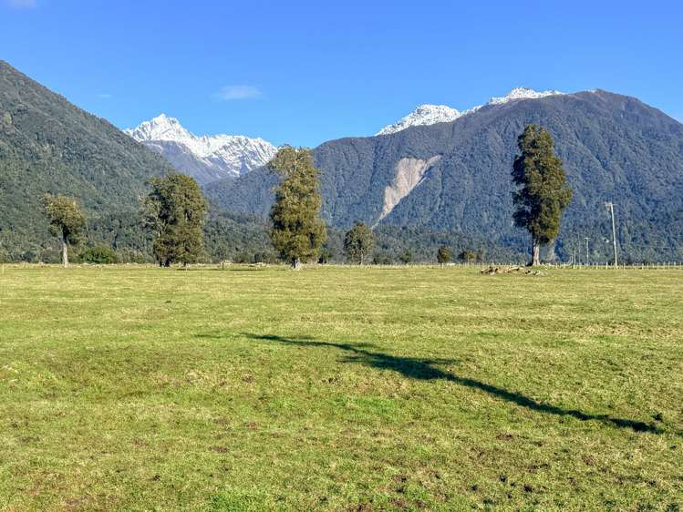 288 State Highway 6 Fox Glacier_9