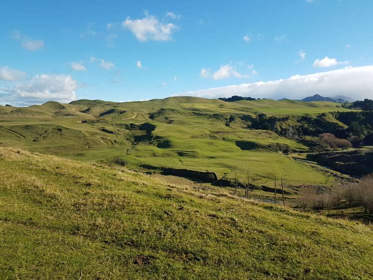 76064 State Highway 2 Rangitikei Surrounds_8