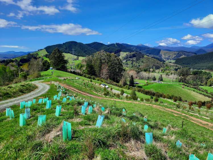 Lot 4 326 Aniseed Valley Road Aniseed Valley_10