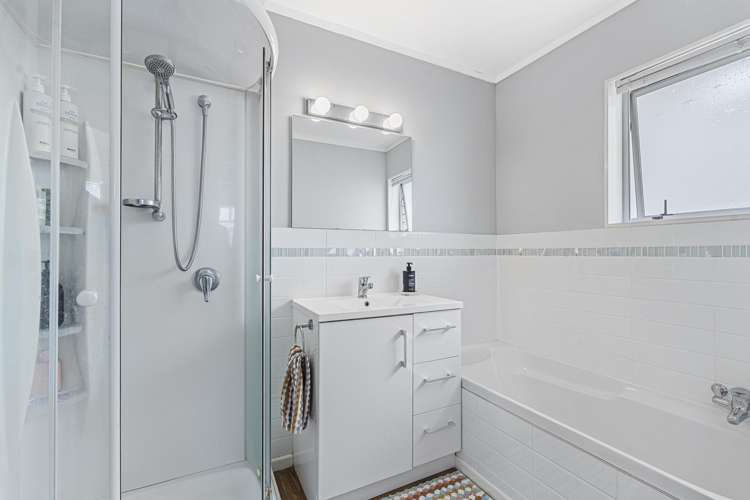 194A Carrington Street Vogeltown_13