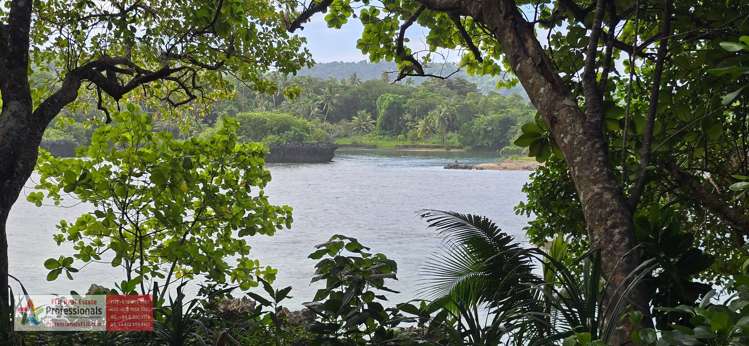 Address withheld Savusavu_34