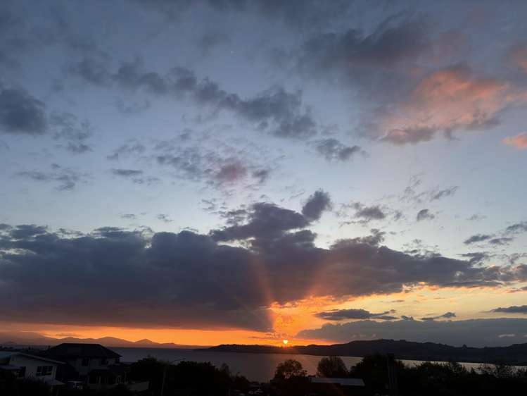 50 Birch Street Hilltop_40