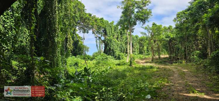 Address withheld Savusavu_7