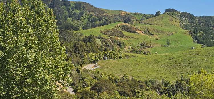 Lot 8 Middle Ridge Road Te Puke_1