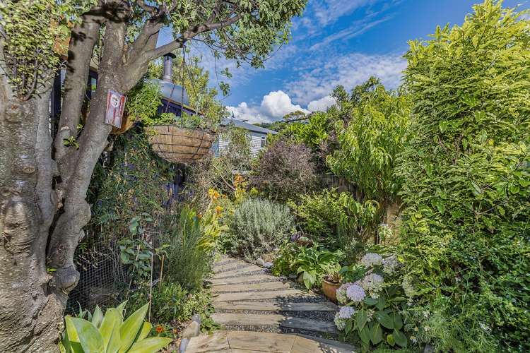 80 Miramar North Road Miramar_14