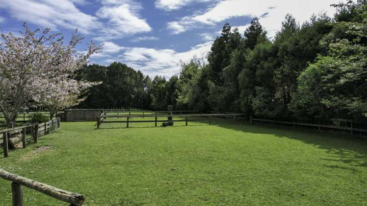 222 Bruce Road Levin_14