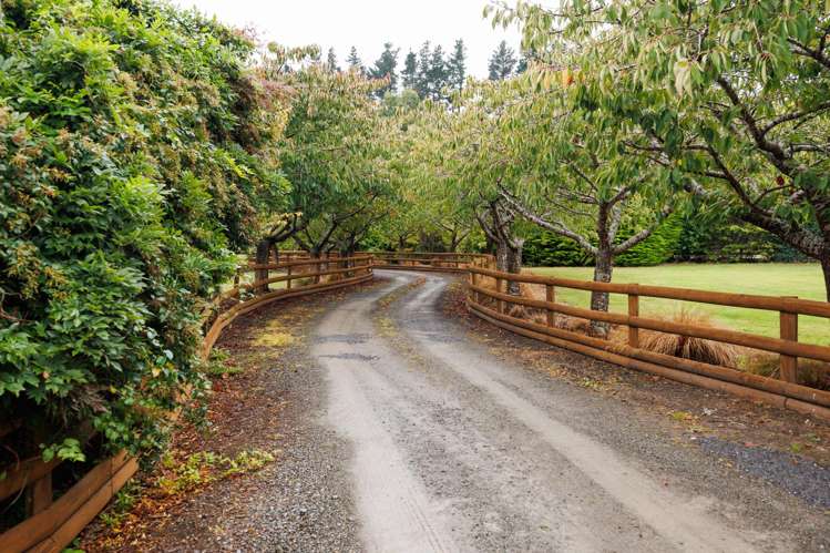 46 Turitea Road Fitzherbert_7