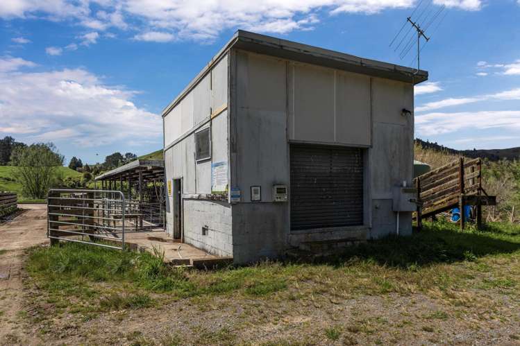 2338 State Highway 2 Opotiki_16